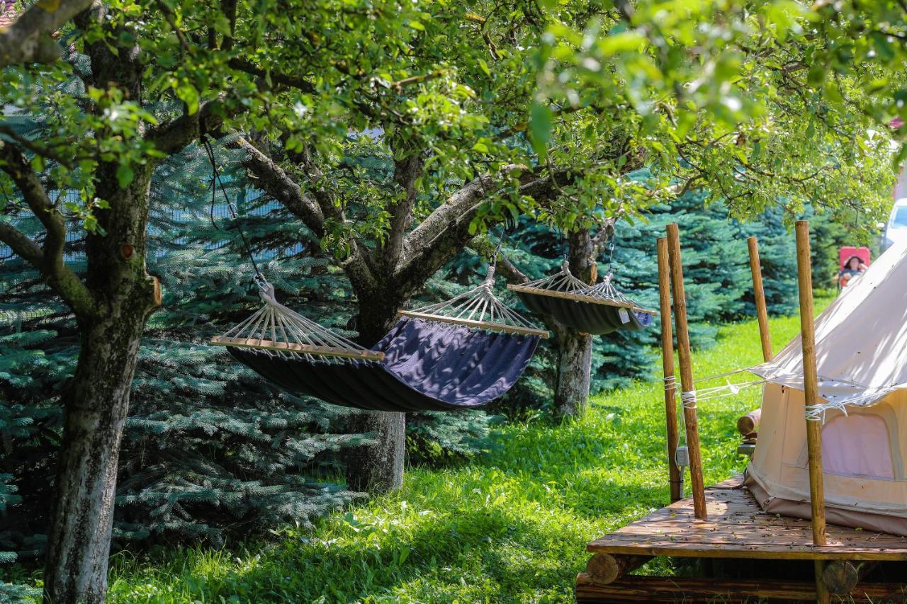 Valea Doftanei Glamping Hotel Tesila Exterior photo